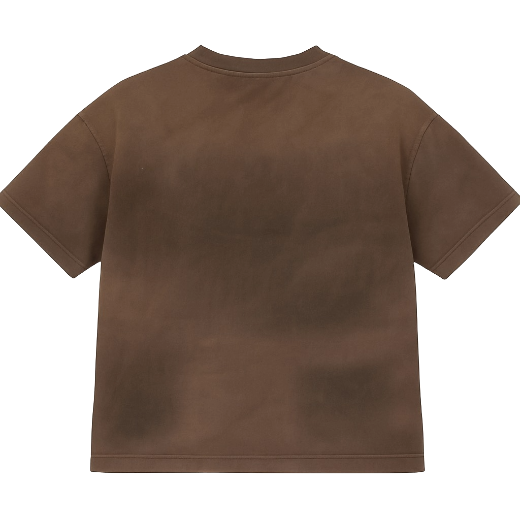 SILT FADED SHIRT